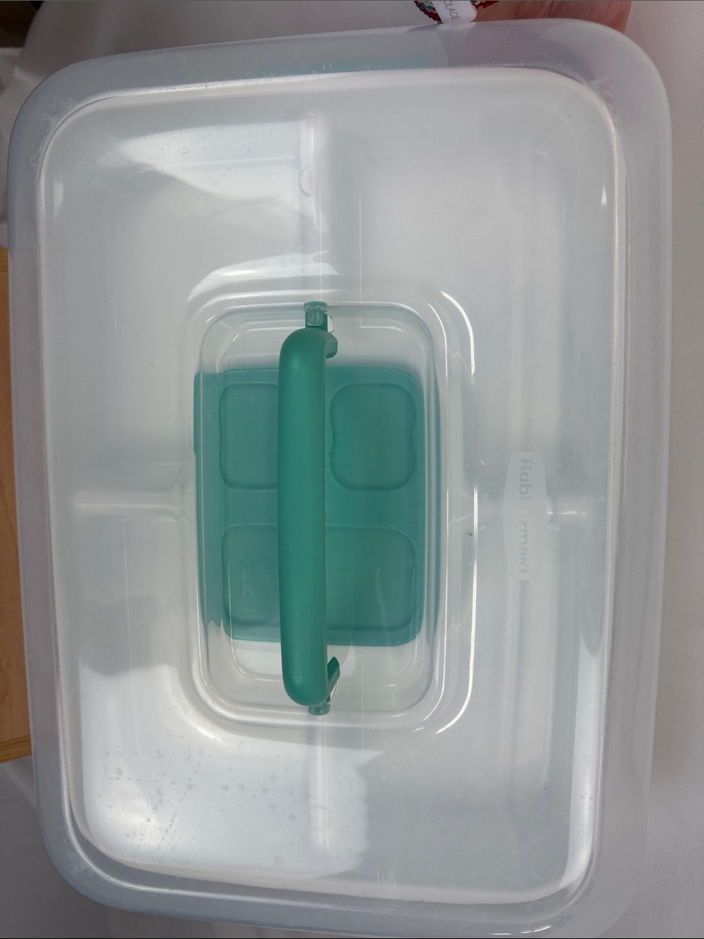 Rubbermaid Party style carrier for deviled eggs veggies and more